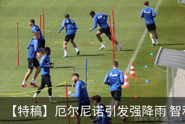 【特稿】厄尔尼诺引发强降雨 智利沙漠花海盛放